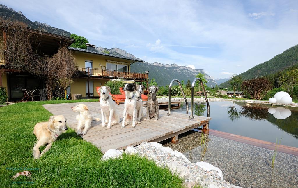 Apartment Steinplatte Waidring Exterior foto
